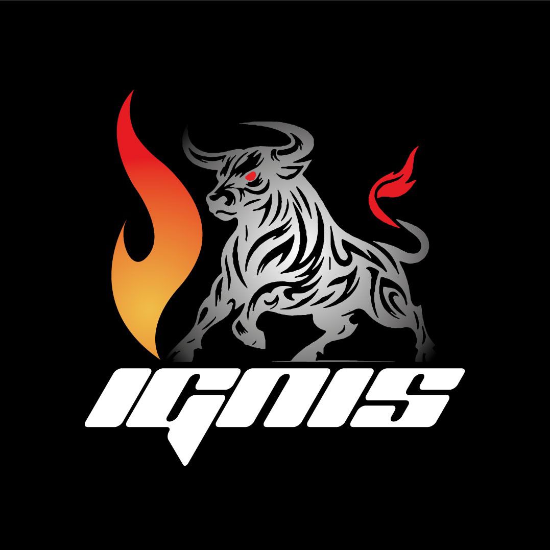 IGNIS Logo